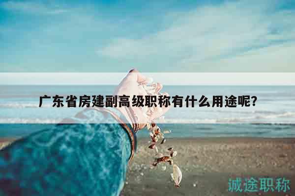 廣東省房建副高級職稱有什么用途呢？