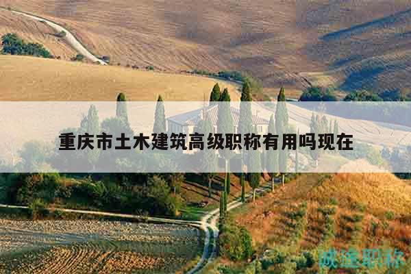 重慶市土木建筑高級職稱有用嗎現(xiàn)在