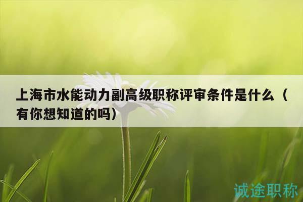 上海市水能動力副高級職稱評審條件是什么（有你想知道的嗎）