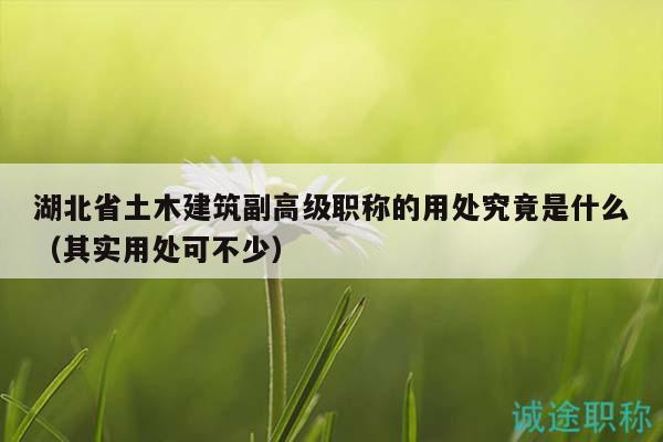 湖北省土木建筑副高級職稱的用處究竟是什么（其實用處可不少）