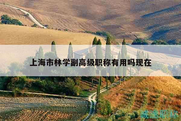 上海市林學(xué)副高級職稱有用嗎現(xiàn)在
