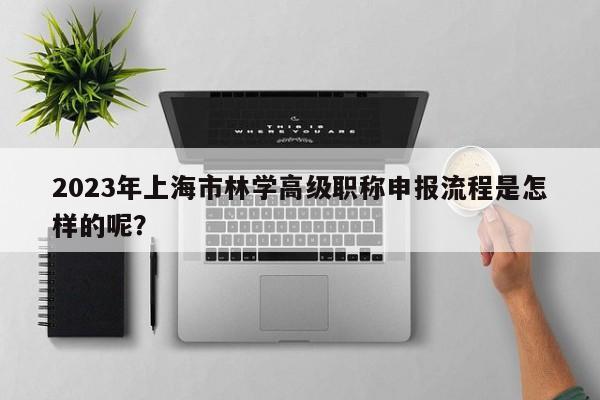 2023年上海市林學高級職稱申報流程是怎樣的呢？