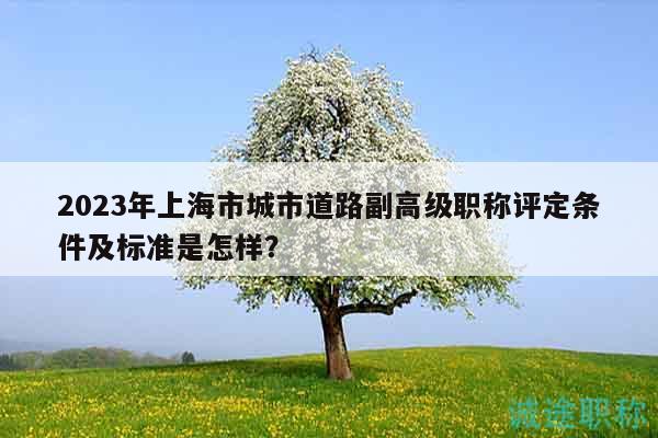 2023年上海市城市道路副高級(jí)職稱評(píng)定條件及標(biāo)準(zhǔn)是怎樣？