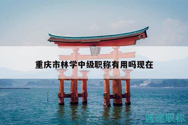 重慶市林學中級職稱有用嗎現(xiàn)在