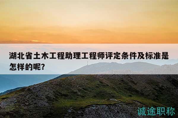 湖北省土木工程助理工程師評(píng)定條件及標(biāo)準(zhǔn)是怎樣的呢？