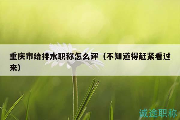 重慶市給排水職稱怎么評（不知道得趕緊看過來）