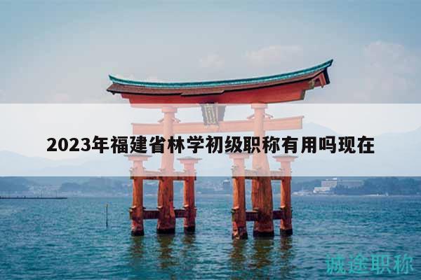 2023年福建省林學(xué)初級(jí)職稱有用嗎現(xiàn)在