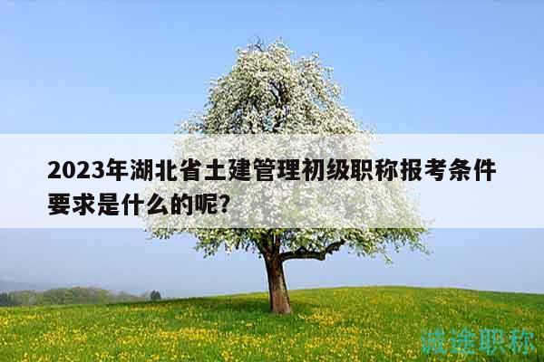2023年湖北省土建管理初級職稱報(bào)考條件要求是什么的呢？
