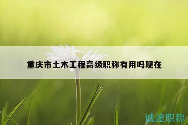 重慶市土木工程高級職稱有用嗎現(xiàn)在