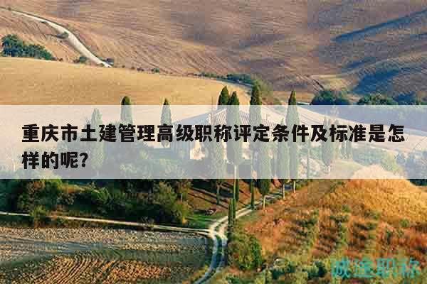 重慶市土建管理高級職稱評定條件及標(biāo)準(zhǔn)是怎樣的呢？