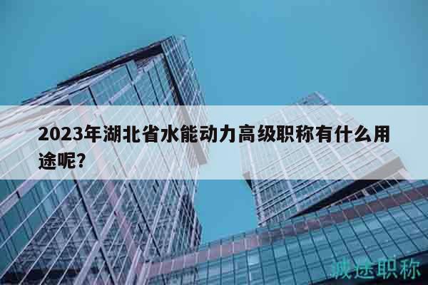 2023年湖北省水能動力高級職稱有什么用途呢？