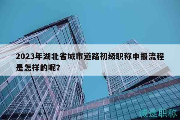 2023年湖北省城市道路初級職稱申報流程是怎樣的呢？