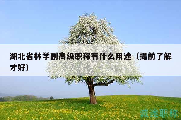湖北省林學(xué)副高級職稱有什么用途（提前了解才好）