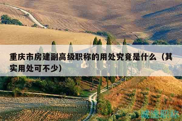 重慶市房建副高級職稱的用處究竟是什么（其實(shí)用處可不少）