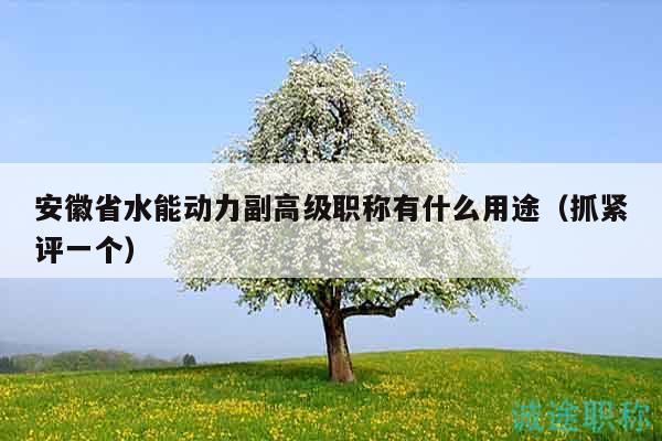 安徽省水能動(dòng)力副高級(jí)職稱有什么用途（抓緊評(píng)一個(gè)）