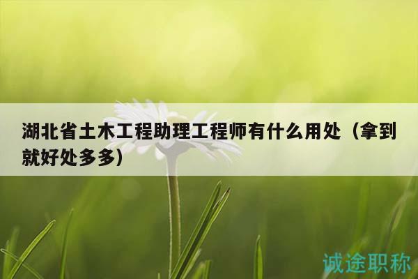 湖北省土木工程助理工程師有什么用處（拿到就好處多多）