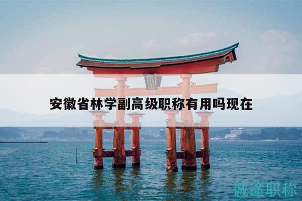 安徽省林學(xué)副高級(jí)職稱有用嗎現(xiàn)在
