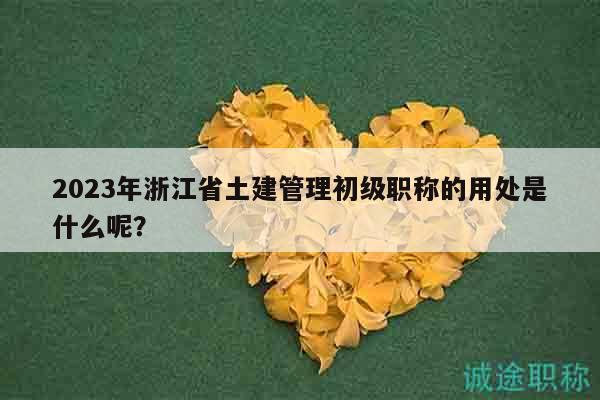 2023年浙江省土建管理初級(jí)職稱的用處是什么呢？