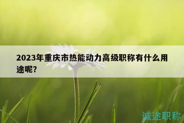 2023年重慶市熱能動(dòng)力高級職稱有什么用途呢？