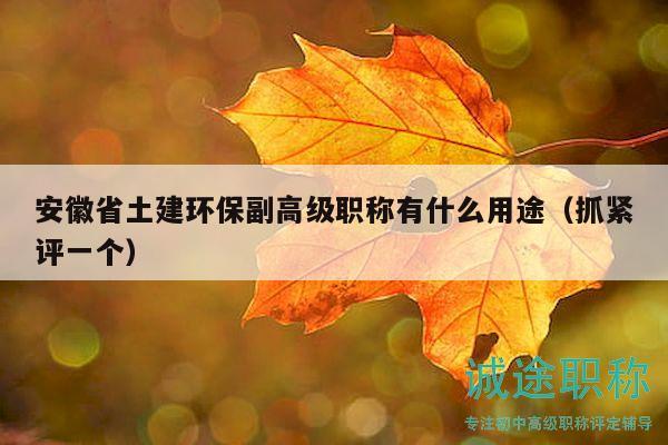 安徽省土建環(huán)保副高級職稱有什么用途（抓緊評一個）