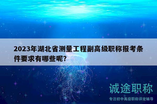 2023年湖北省測(cè)量工程副高級(jí)職稱報(bào)考條件要求有哪些呢？