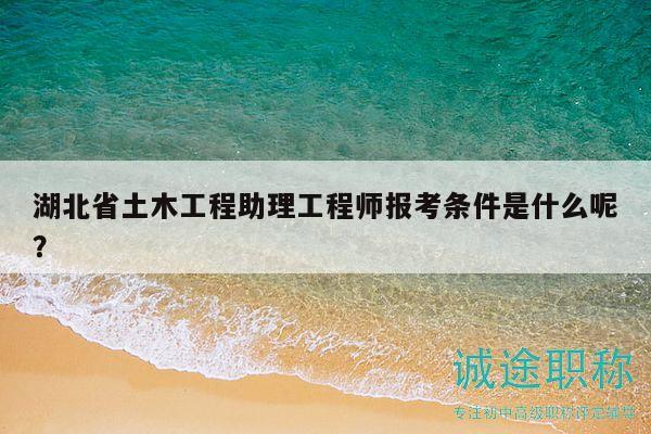 湖北省土木工程助理工程師報(bào)考條件是什么呢？
