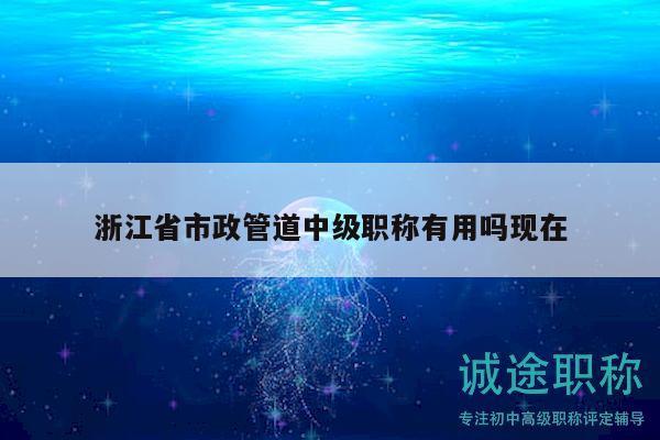 浙江省市政管道中級(jí)職稱有用嗎現(xiàn)在