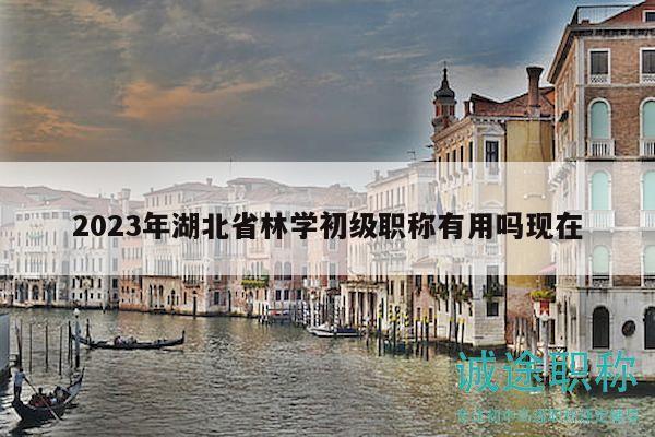 2023年湖北省林學初級職稱有用嗎現在