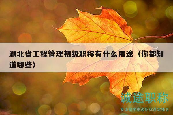 湖北省工程管理初級職稱有什么用途（你都知道哪些）