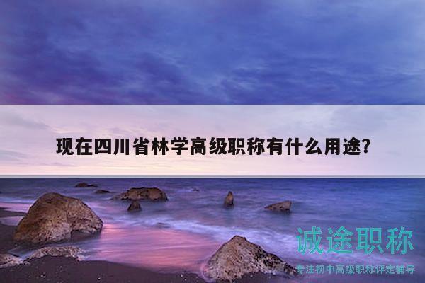 現(xiàn)在四川省林學(xué)高級(jí)職稱有什么用途？