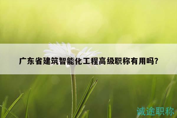 廣東省建筑智能化工程高級(jí)職稱有用嗎？