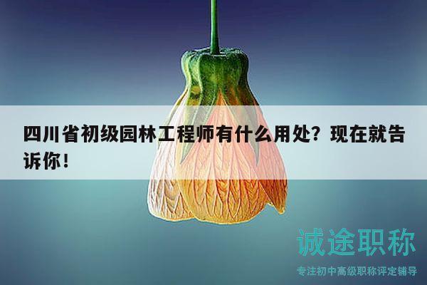 四川省初級園林工程師有什么用處？現(xiàn)在就告訴你！