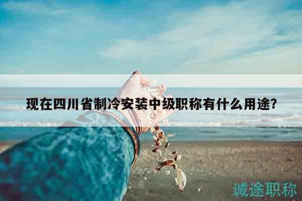 現(xiàn)在四川省制冷安裝中級(jí)職稱有什么用途？