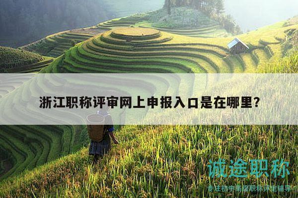 浙江職稱評(píng)審網(wǎng)上申報(bào)入口是在哪里？