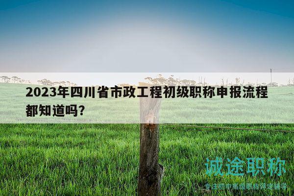 2023年四川省市政工程初級職稱申報流程都知道嗎？