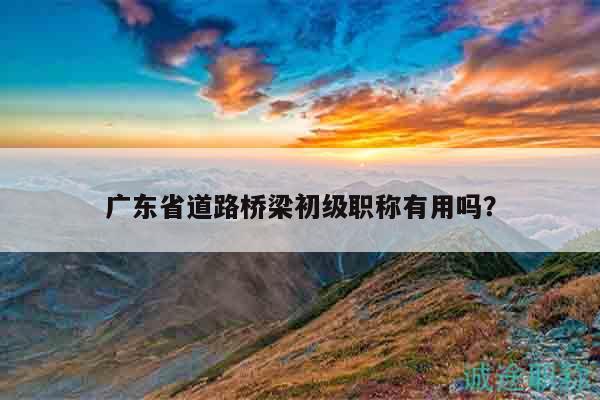 廣東省道路橋梁初級(jí)職稱有用嗎？