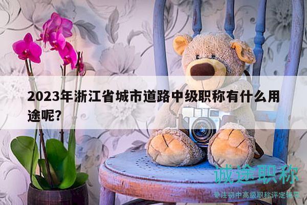 2023年浙江省城市道路中級(jí)職稱有什么用途呢？
