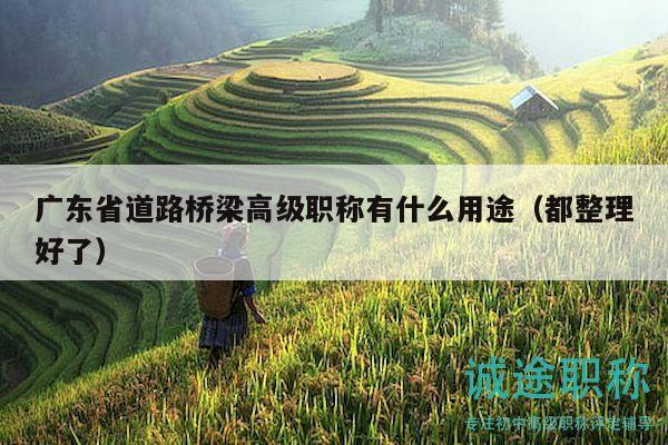 廣東省道路橋梁高級職稱有什么用途（都整理好了）