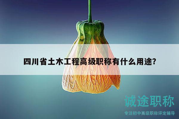 四川省土木工程高級(jí)職稱(chēng)有什么用途？