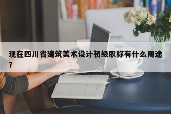 現(xiàn)在四川省建筑美術(shù)設(shè)計初級職稱有什么用途？