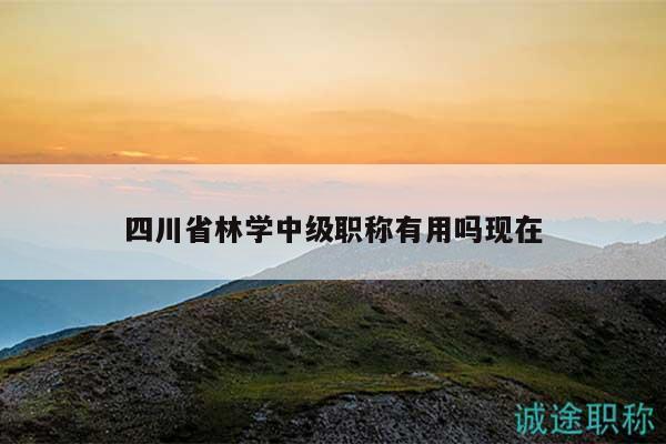四川省林學中級職稱有用嗎現(xiàn)在