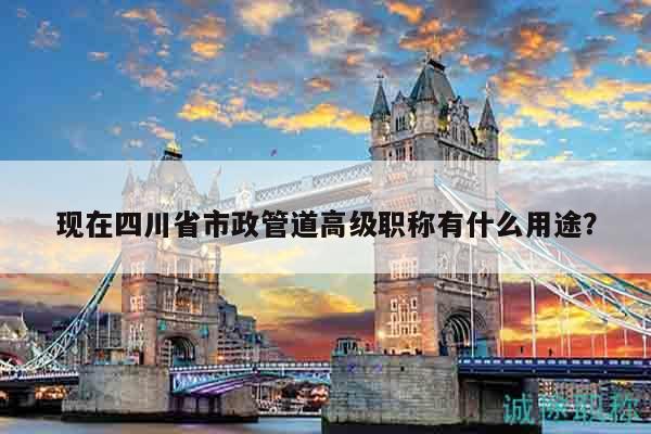 現(xiàn)在四川省市政管道高級職稱有什么用途？