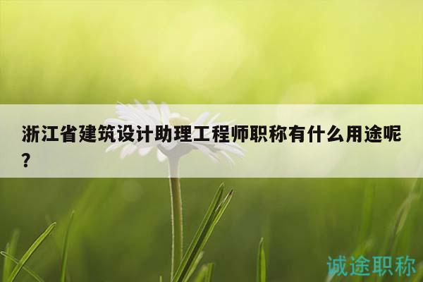 浙江省建筑設(shè)計(jì)助理工程師職稱有什么用途呢？