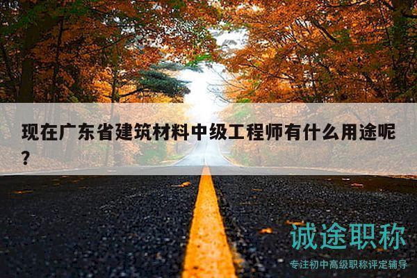 現(xiàn)在廣東省建筑材料中級(jí)工程師有什么用途呢？