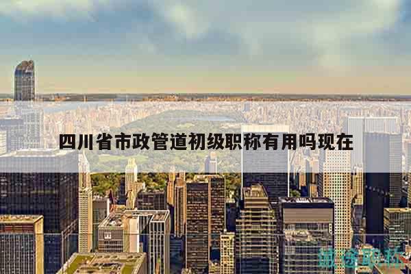 四川省市政管道初級(jí)職稱有用嗎現(xiàn)在