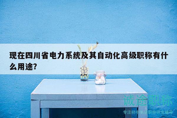 現(xiàn)在四川省電力系統(tǒng)及其自動化高級職稱有什么用途？
