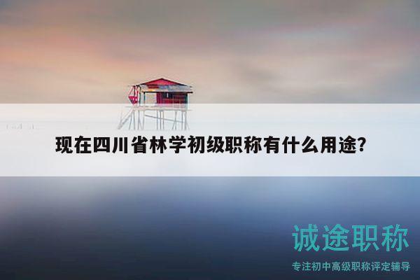 現(xiàn)在四川省林學(xué)初級職稱有什么用途？