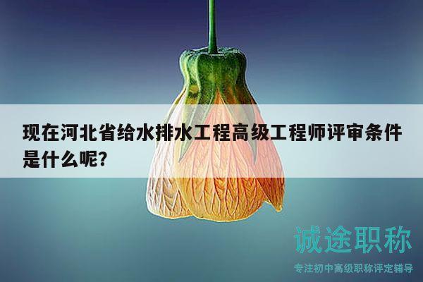 現(xiàn)在河北省給水排水工程高級工程師評審條件是什么呢？