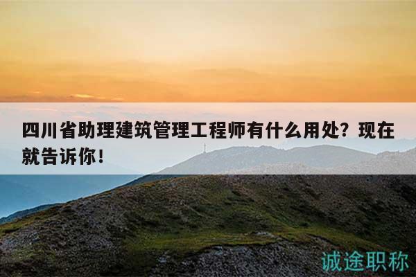 四川省助理建筑管理工程師有什么用處？現(xiàn)在就告訴你！