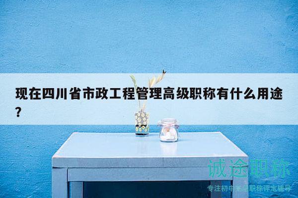 現(xiàn)在四川省市政工程管理高級職稱有什么用途？